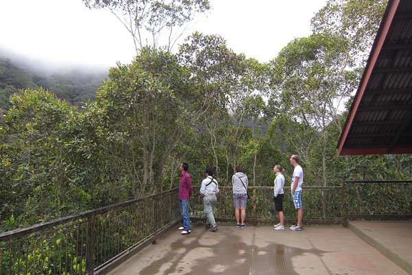 Platform bij de Timpohon Gate van Kinabalu Park